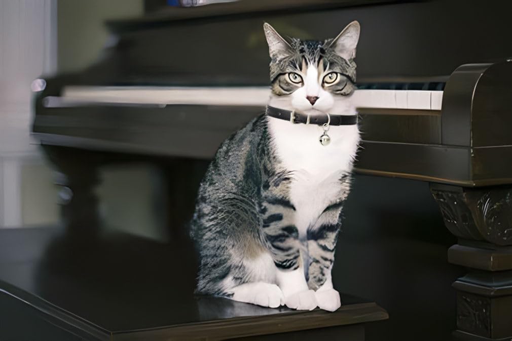 Pink Leather Cat Collar with Bell N801