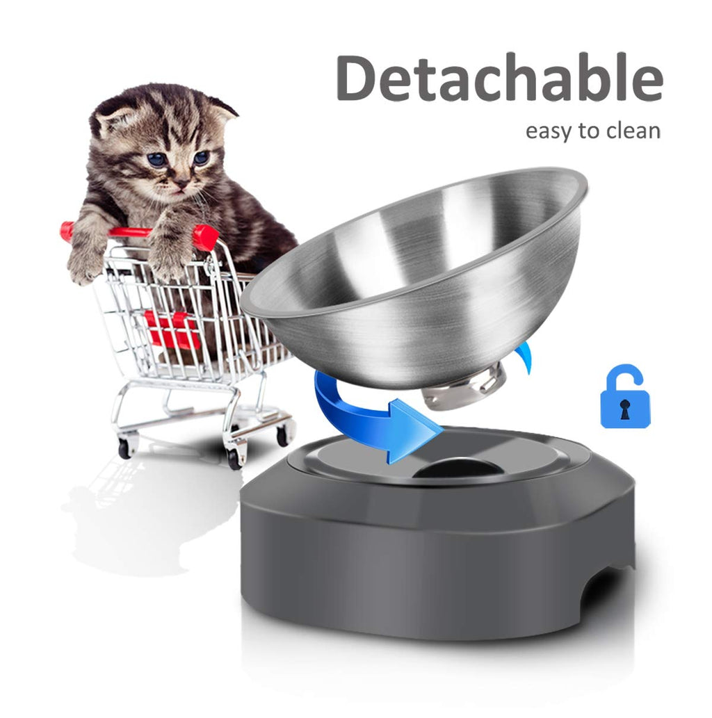 Stainless Steel Raised Cat Food Bowl Z8387