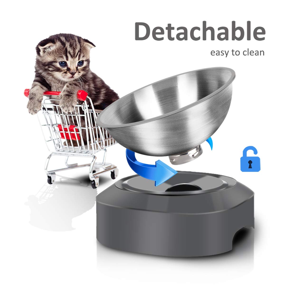 Stainless Steel Raised Cat Food Bowl Z8387