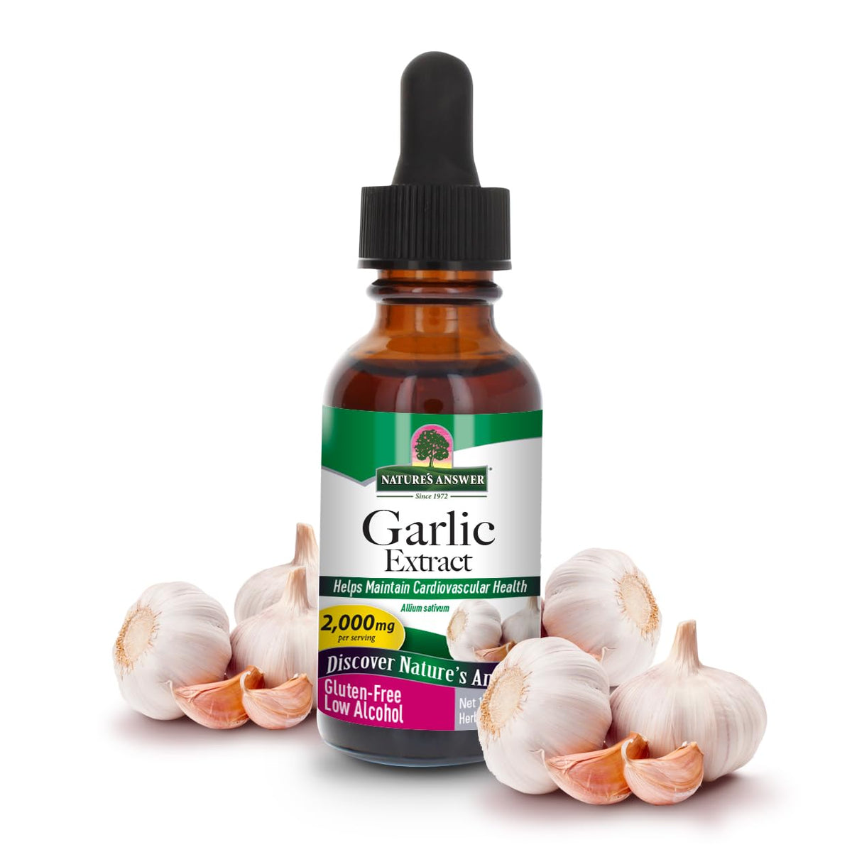 Garlic Bulb 1-Fluid Ounce T580487