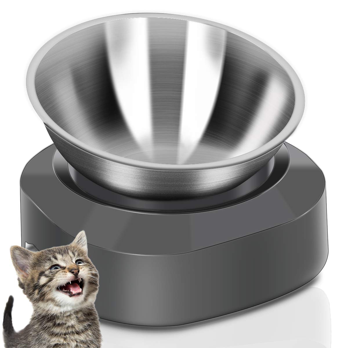 Stainless Steel Raised Cat Food Bowl Z8387
