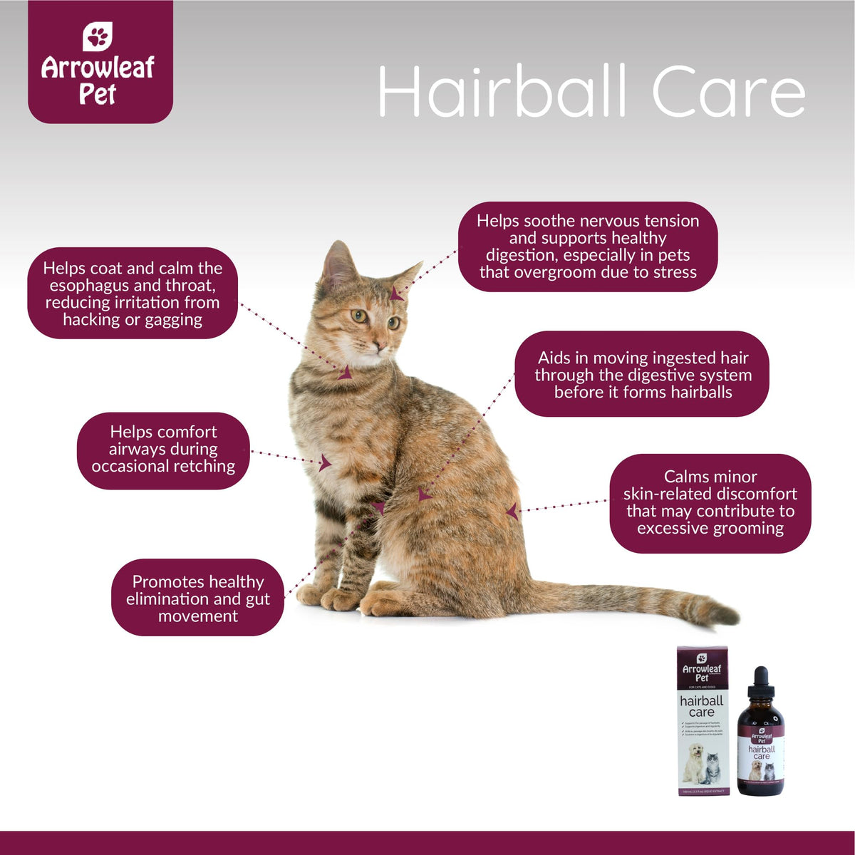 100mL Herbal Tincture H503