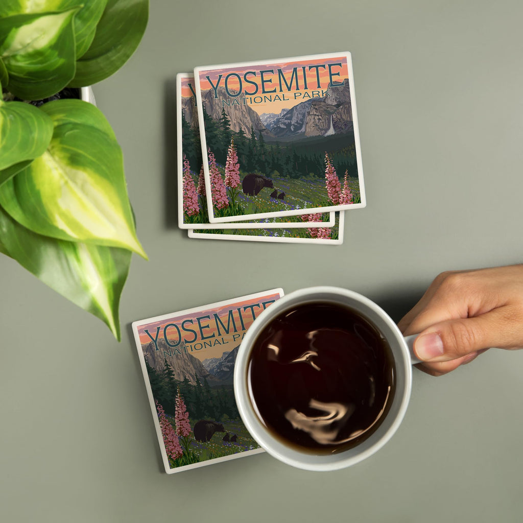 Yosemite National Park Ceramic Coasters Set of 4 J5373