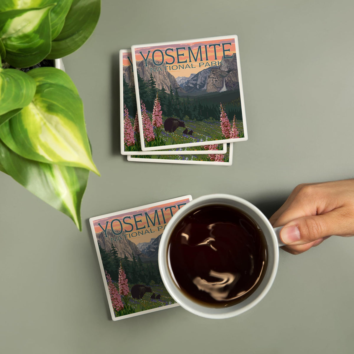 Yosemite National Park Ceramic Coasters Set of 4 J5373