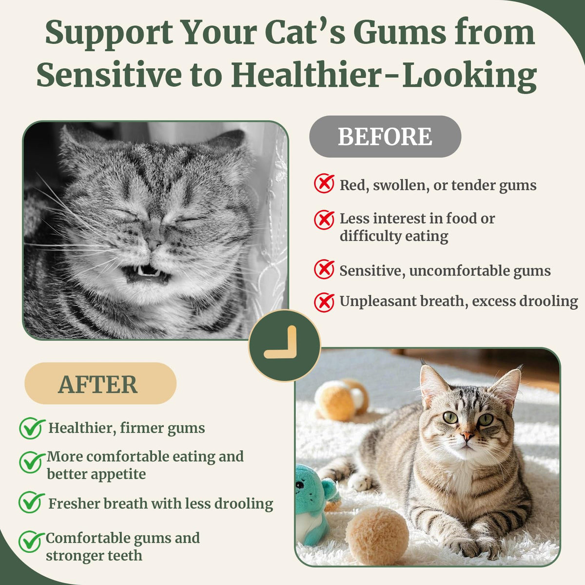 Cat Dental Care Gingivitis Treatment A313873