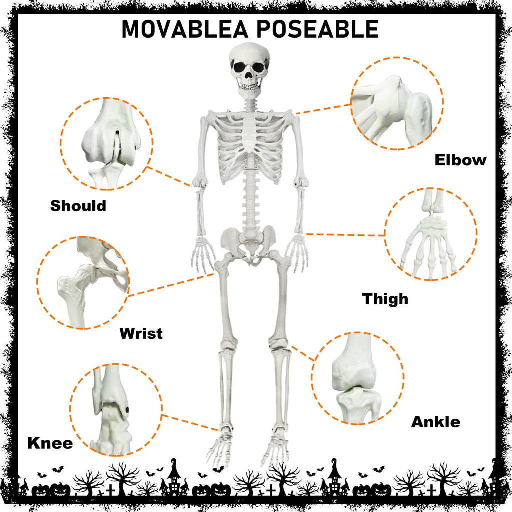 Life Size Posable Skeleton with Dog & Creepy Cloth W5147