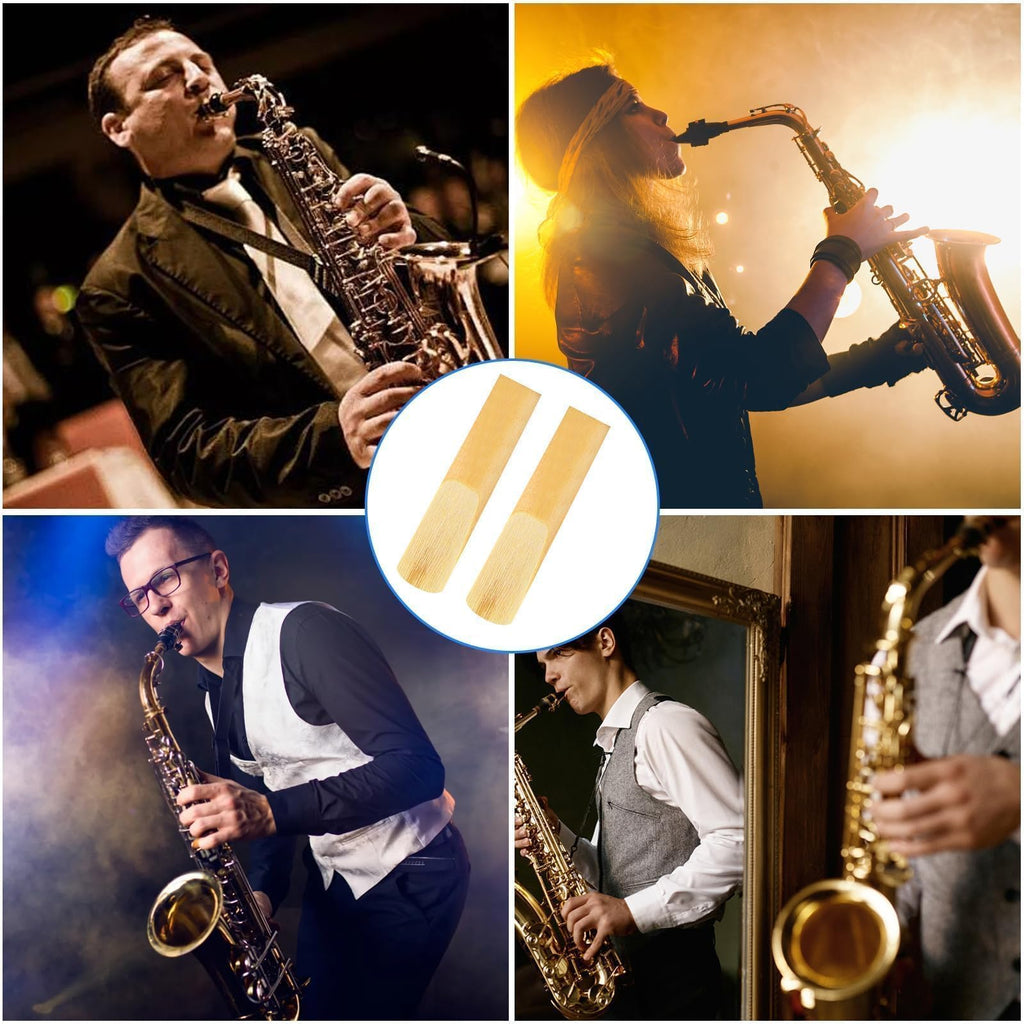 10 Pack Alto Saxophone Reeds 2.5 Strength Z821090