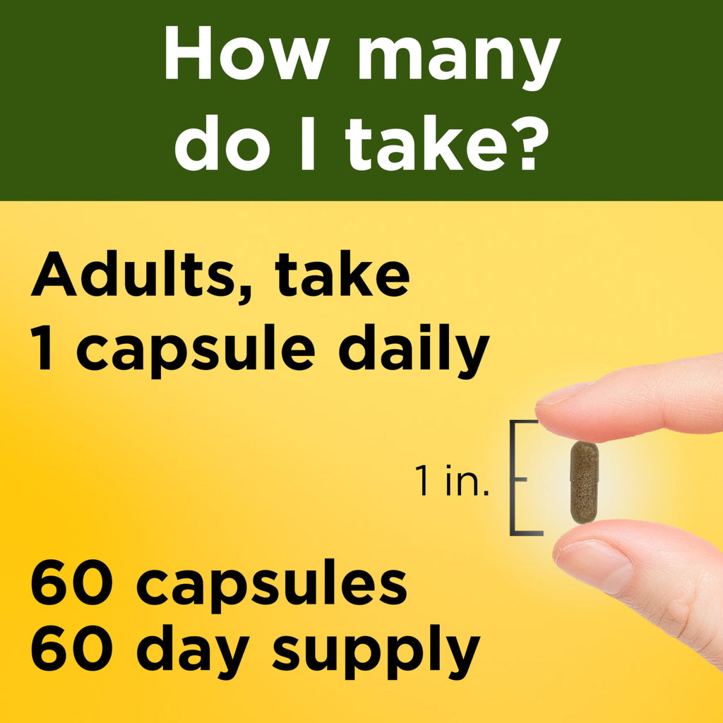 Ashwagandha Capsules 125mg 60 Capsules F41566
