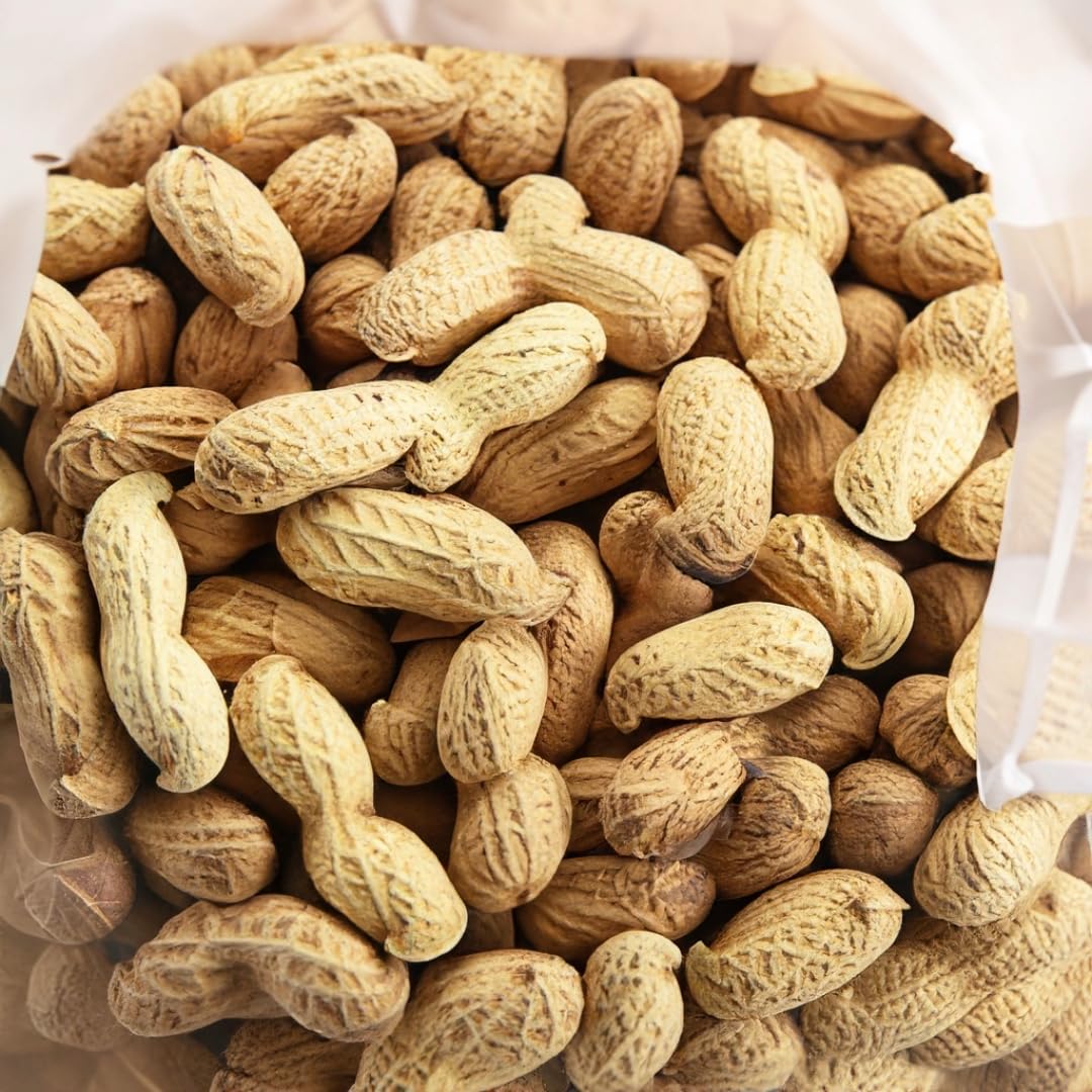 10 LB Unroasted Peanuts in the Shell O140841
