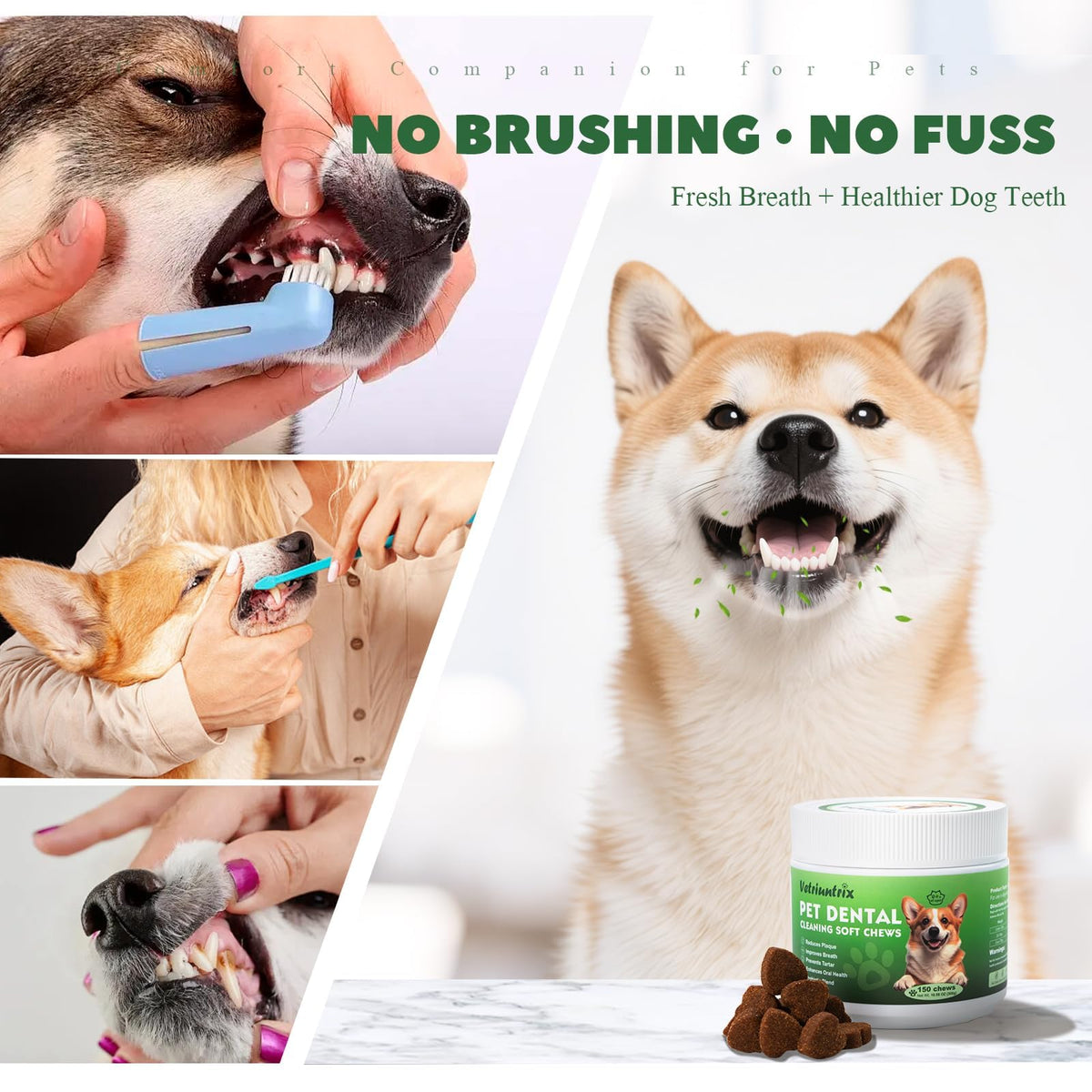 Dog Dental Chews with Natural Enzymes V8673