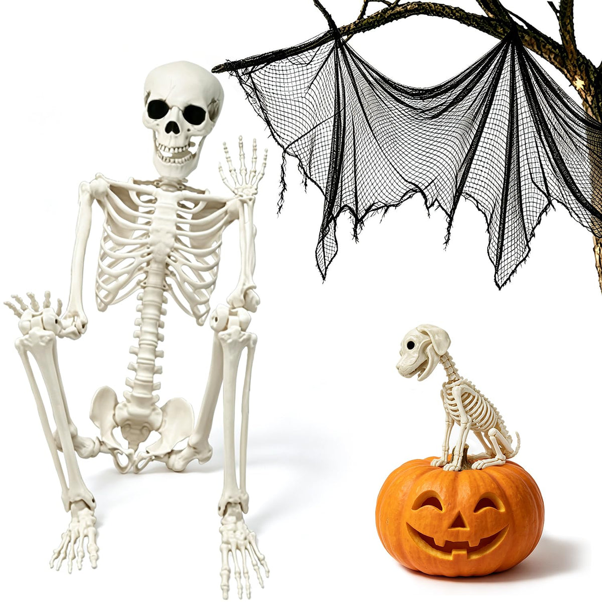 Life Size Posable Skeleton with Dog & Creepy Cloth W5147