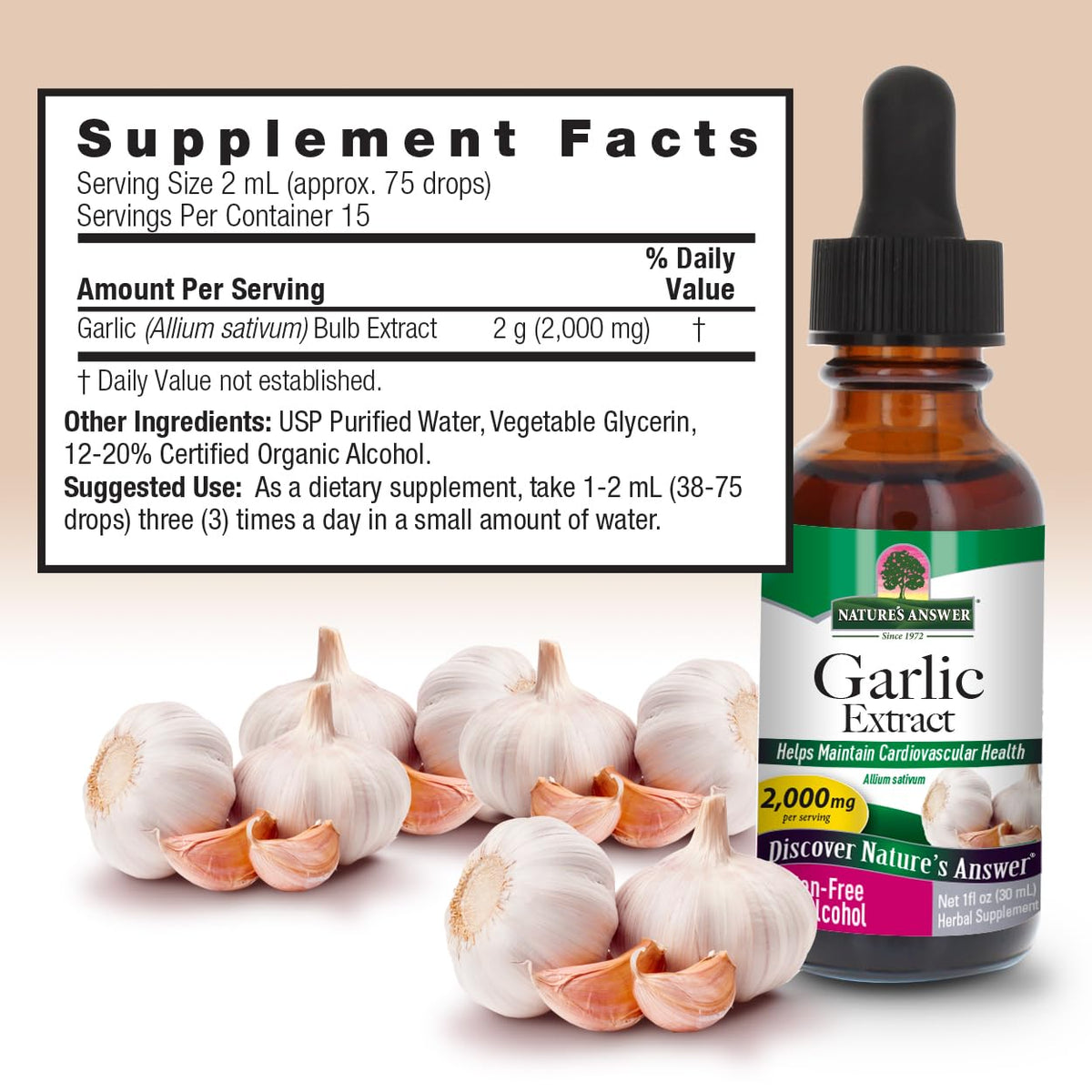 Garlic Bulb 1-Fluid Ounce T580487