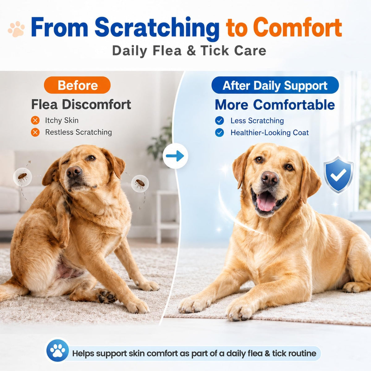 Flea and Tick Chews A8934