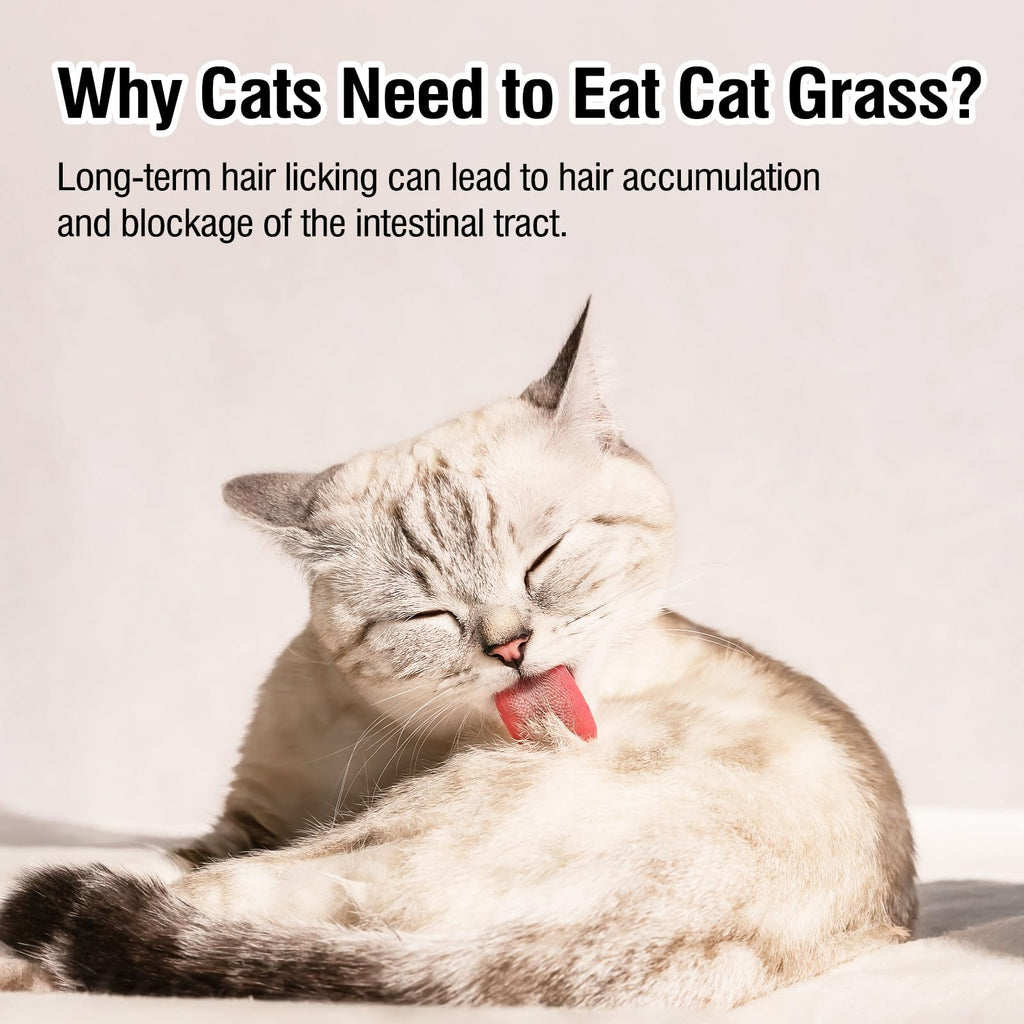 Freeze Drying Cat Grass Treats with Chicken & Egg Yolk 2.3 oz E684