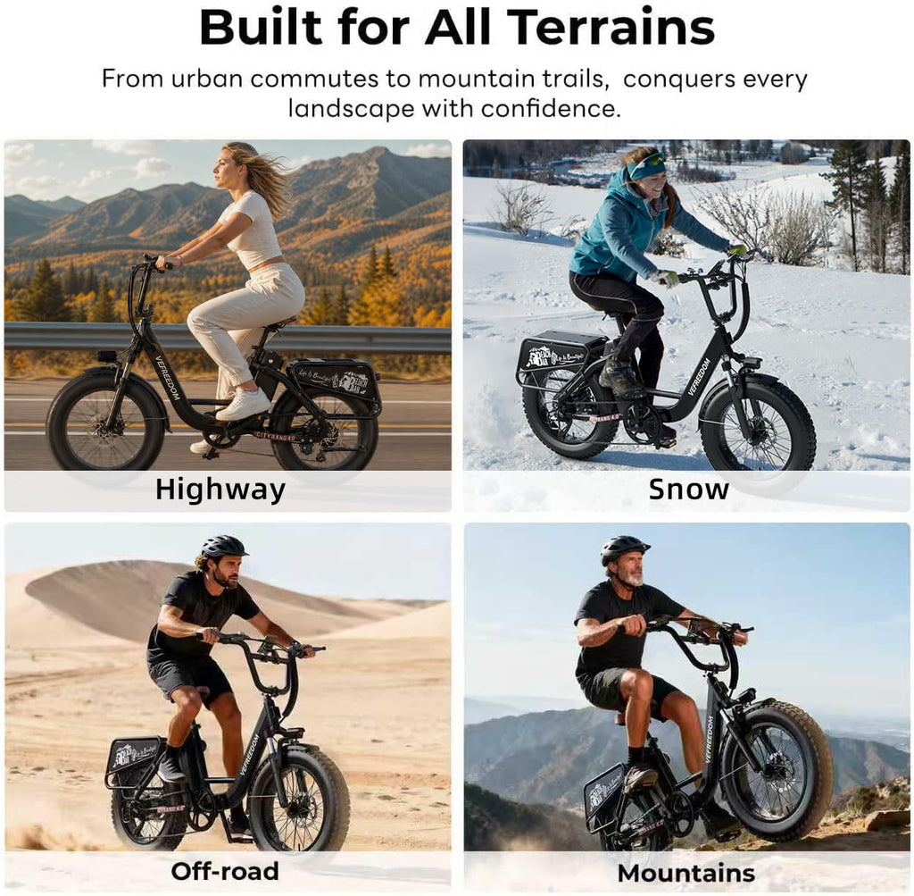 Electric Bike with 1500W Motor 48V 20Ah Battery 20" Fat Tire 7-Speed T6334
