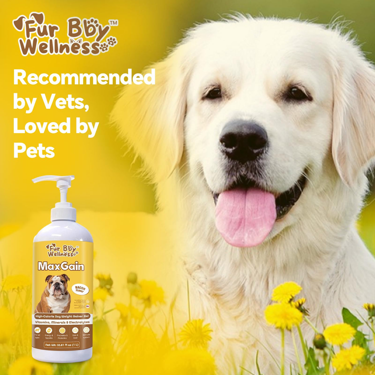 High-Calorie Dog Weight Gainer Gel with Salmon Oil, Probiotics, Vitamins & Electrolytes W73232