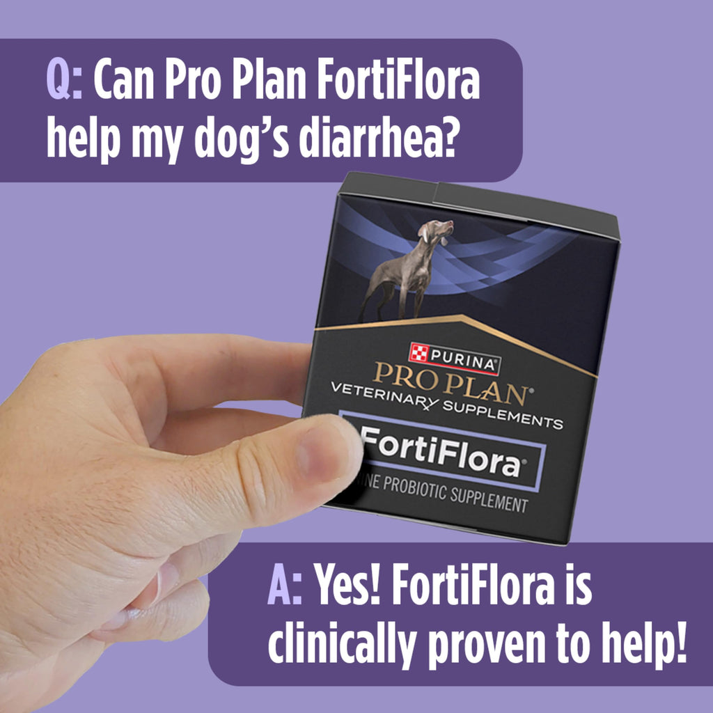Probiotics for Dogs 30 ct. T855