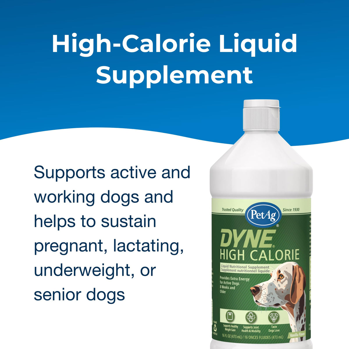 High Calorie Liquid Nutritional Supplement for Dogs & Puppies 16 oz B773352