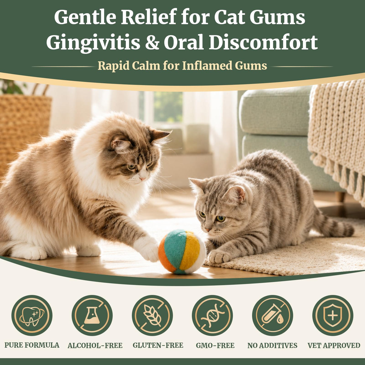 Cat Dental Care Gingivitis Treatment A313873
