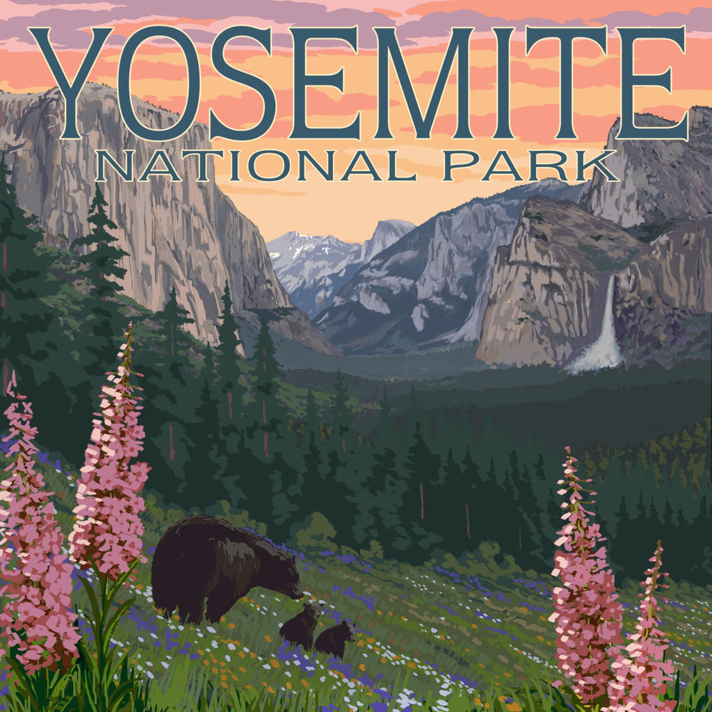 Yosemite National Park Ceramic Coasters Set of 4 J5373