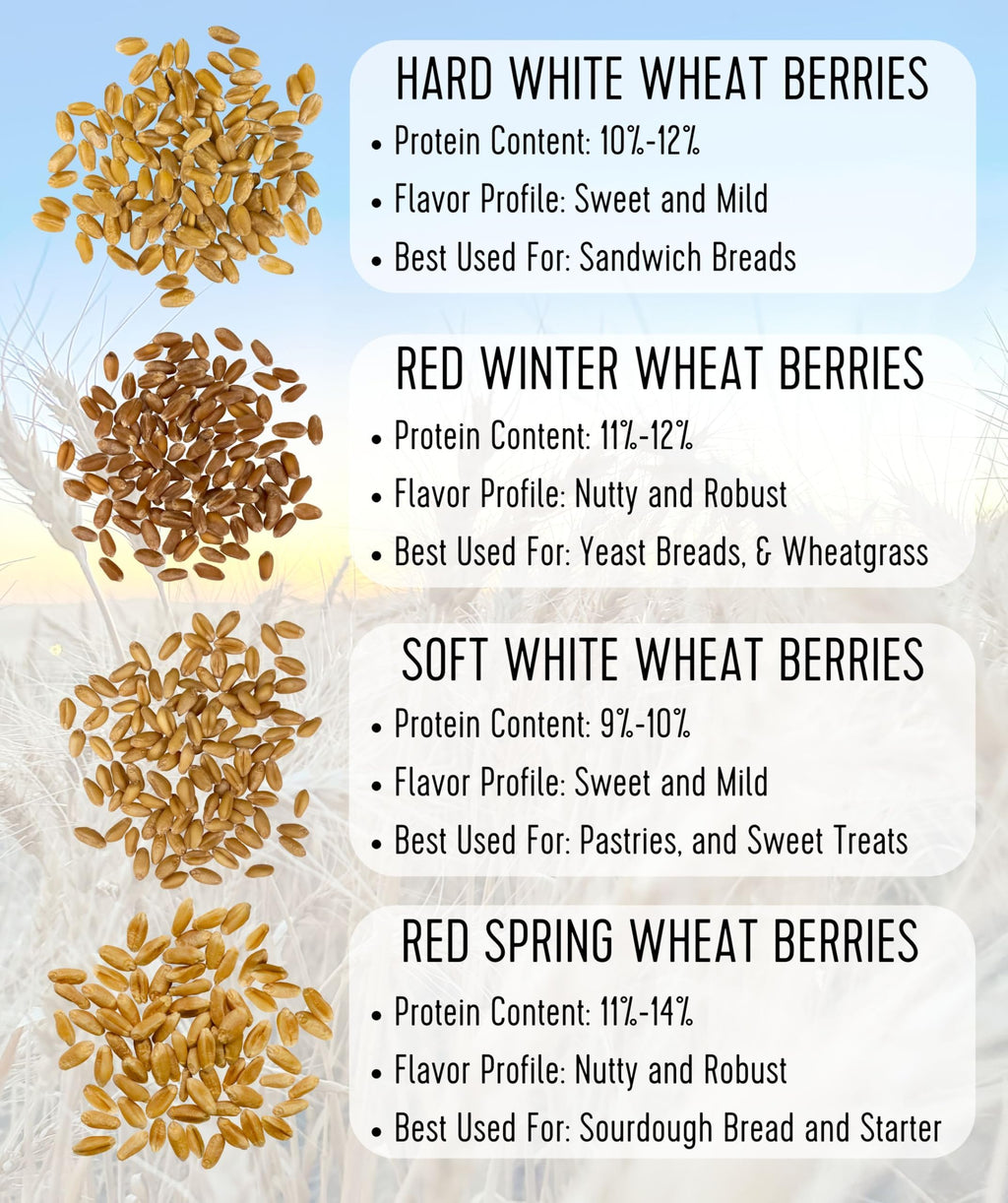 Soft White Wheat Berries 25 LBS L130
