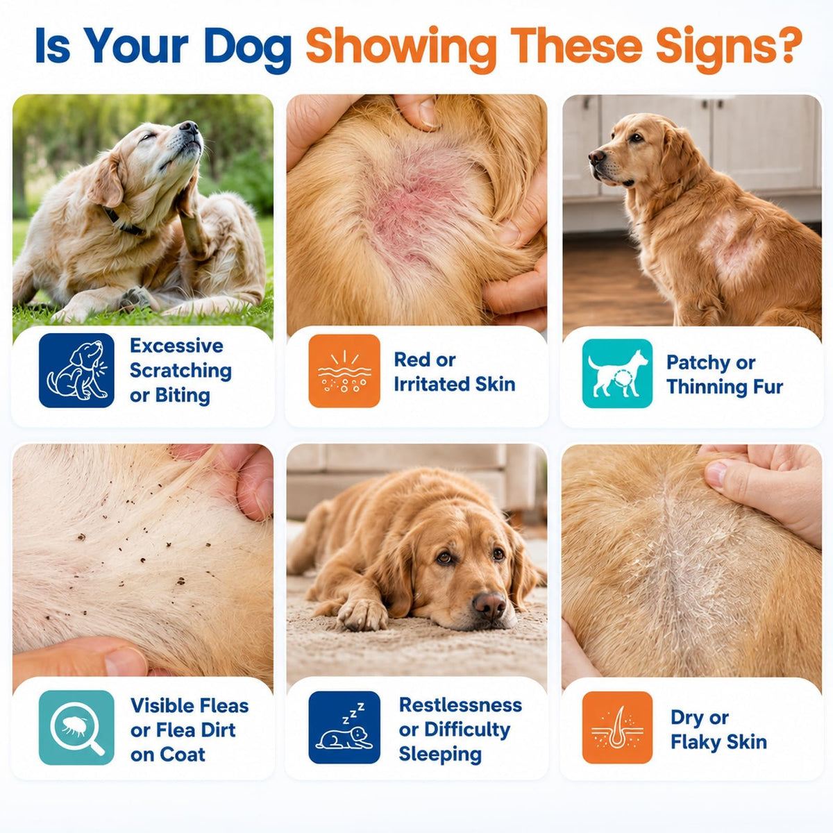Flea and Tick Chews A8934