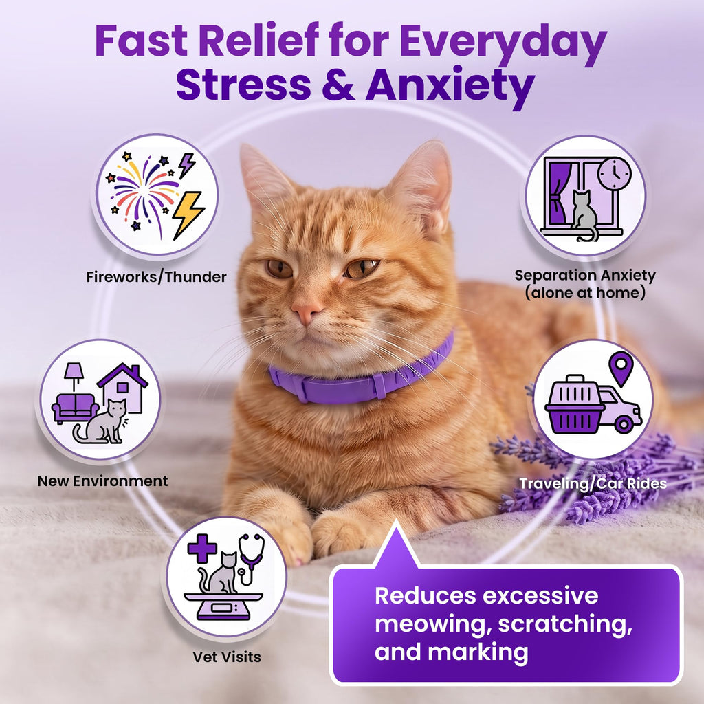 4 Pack Adjustable Calming Collar for Cats V5419