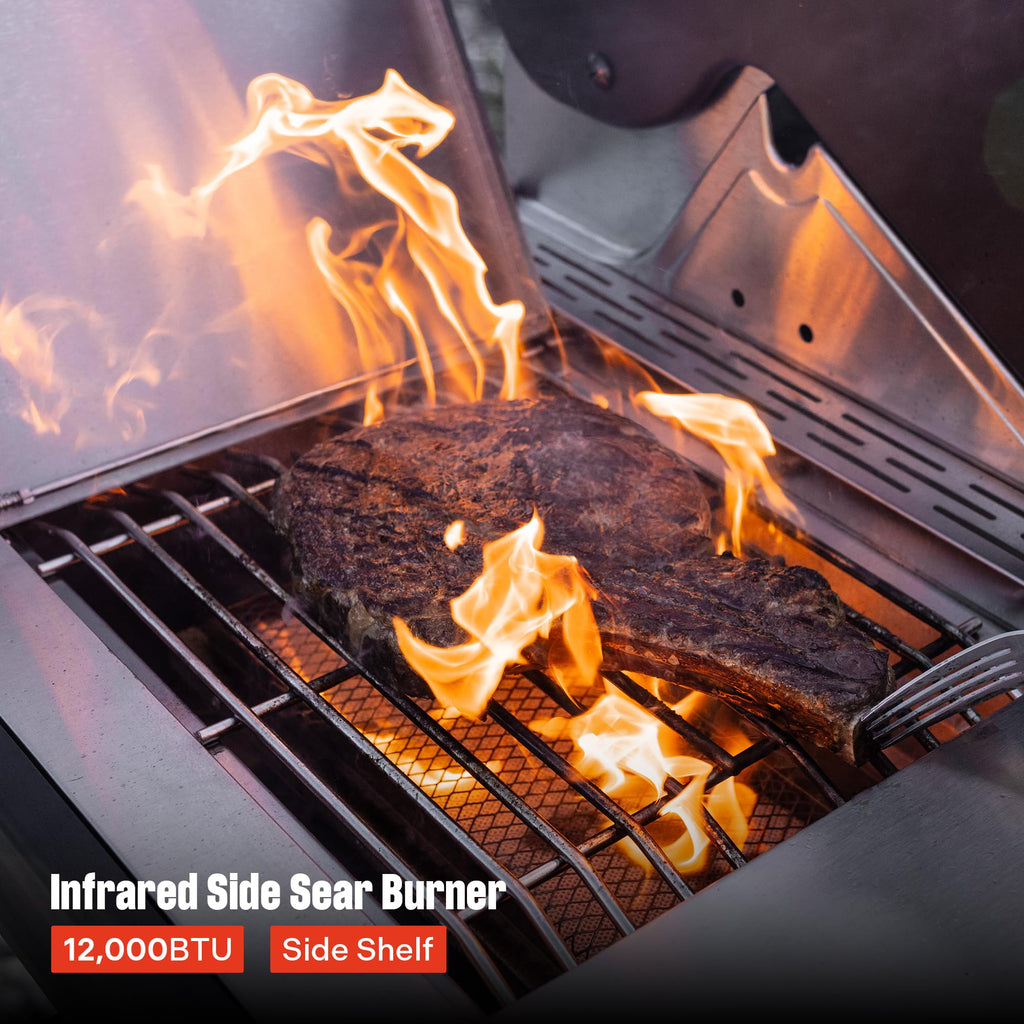 4+2 Burner Propane Gas Grill Stainless Steel I263633