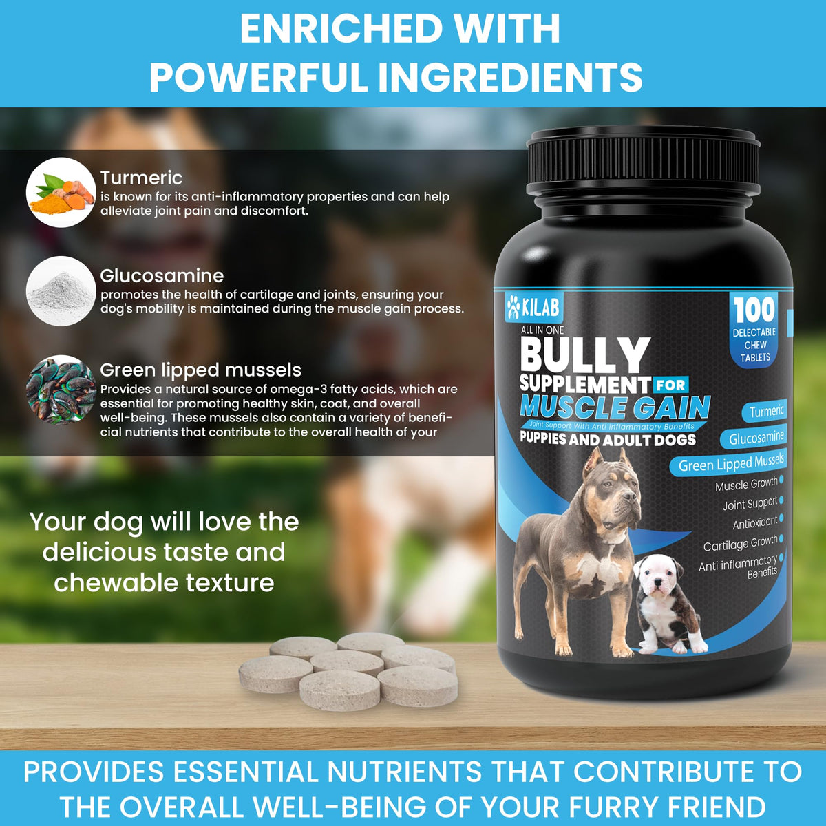 Dog Weight Gainer Supplement with Turmeric, Glucosamine, Green Lipped Mussels T62127