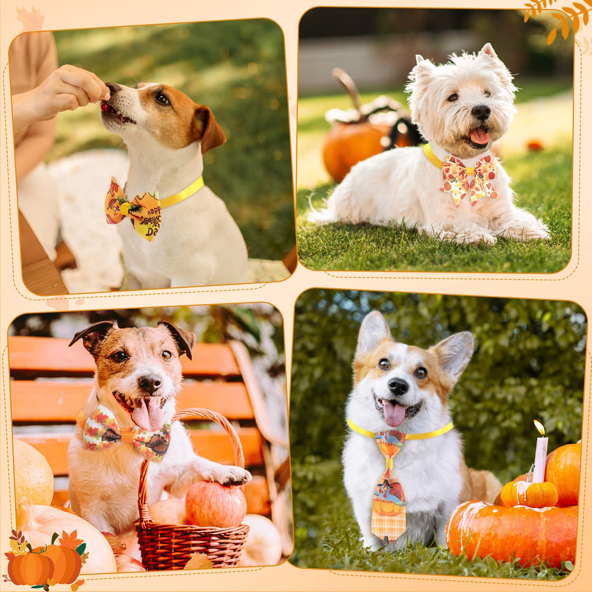 100 Pieces Fall Thanksgiving Day Dog Bow Tie Collar Set B439845