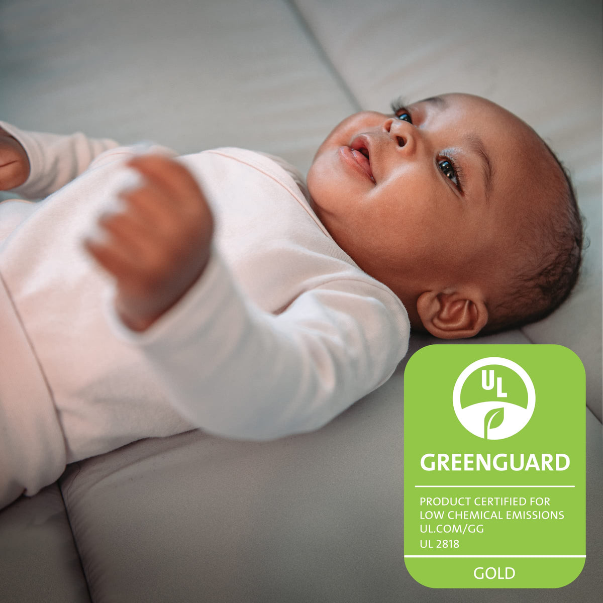 Instant Setup Playard with Bassinet and Carry Bag O17580
