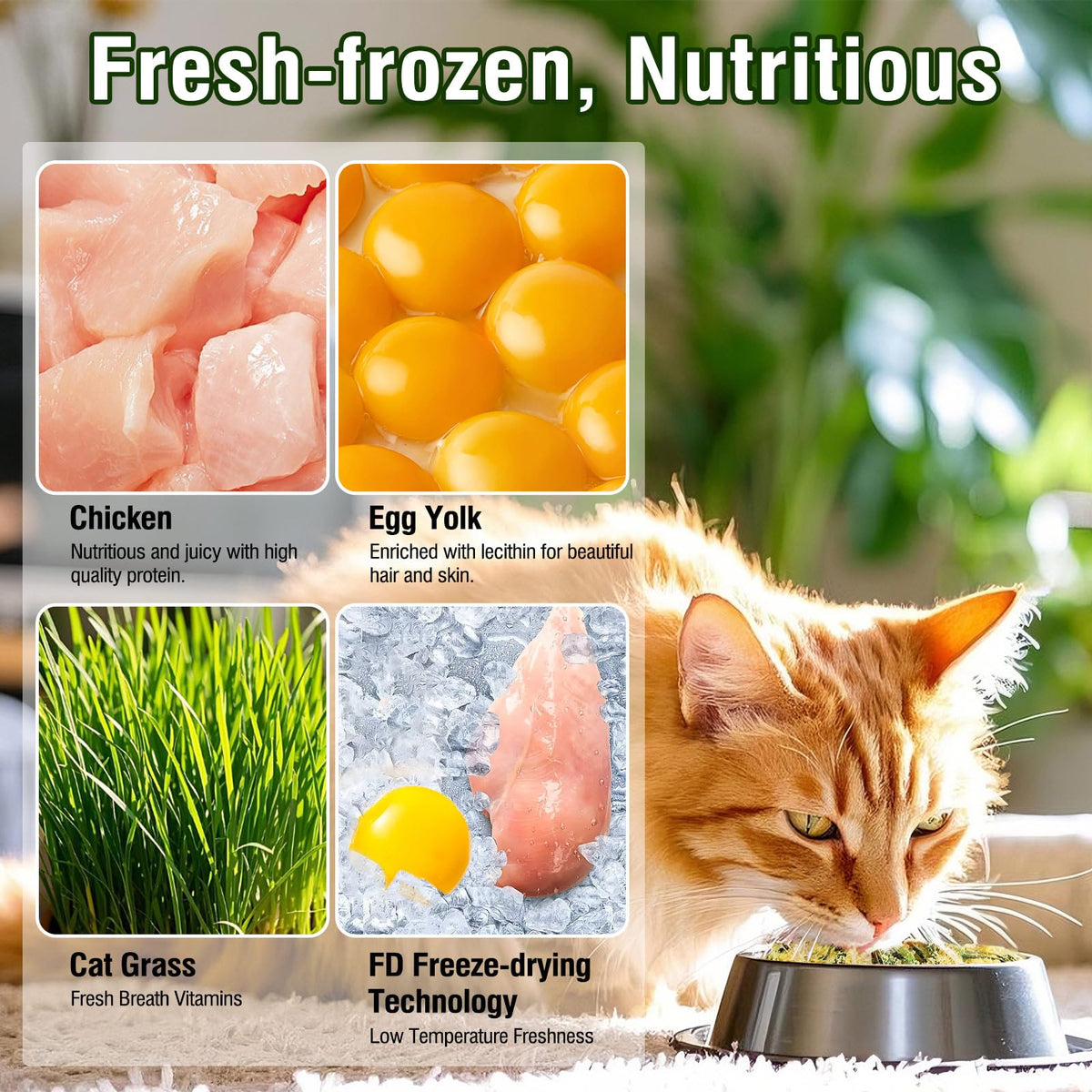 Freeze Drying Cat Grass Treats with Chicken & Egg Yolk 2.3 oz E684