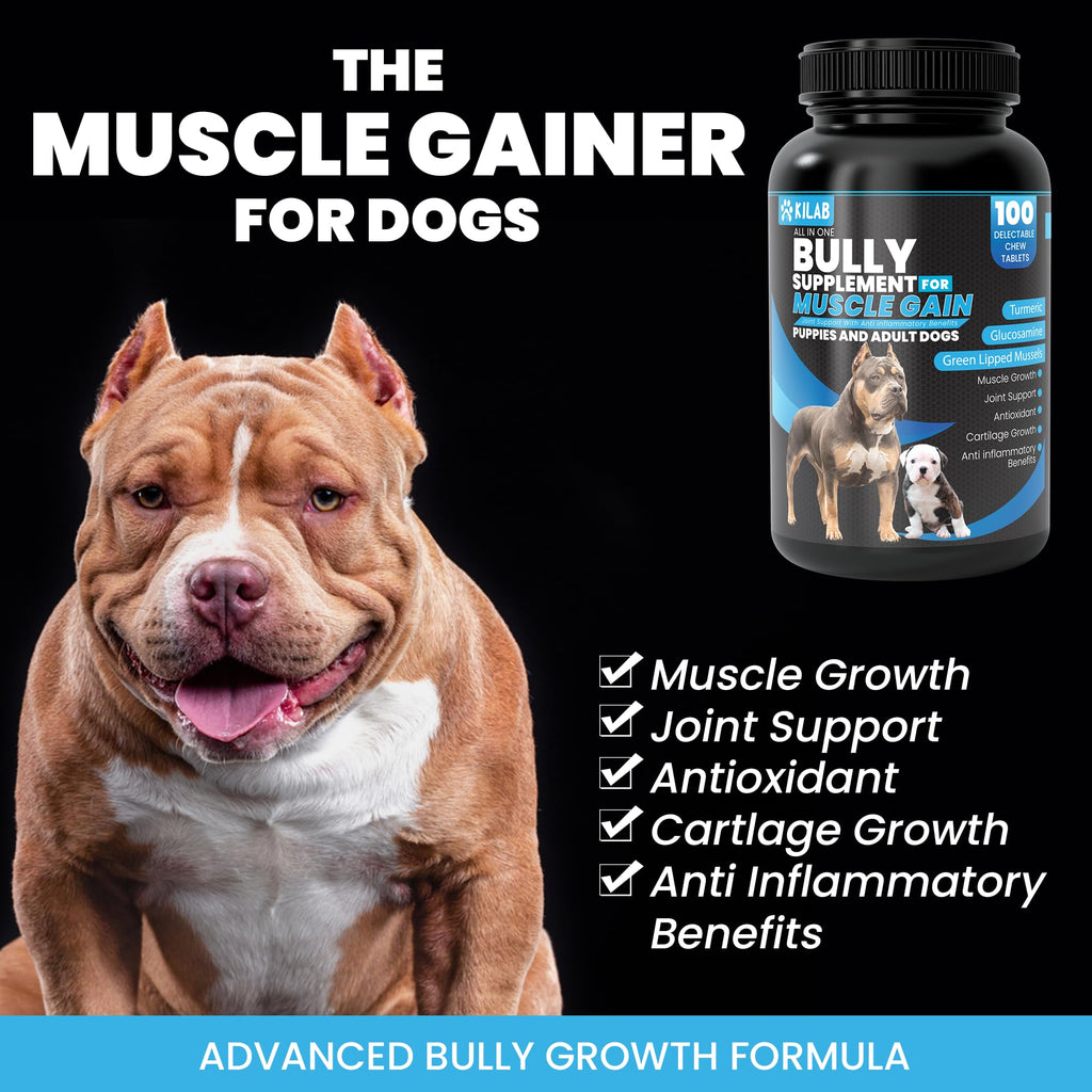Dog Weight Gainer Supplement with Turmeric, Glucosamine, Green Lipped Mussels T62127