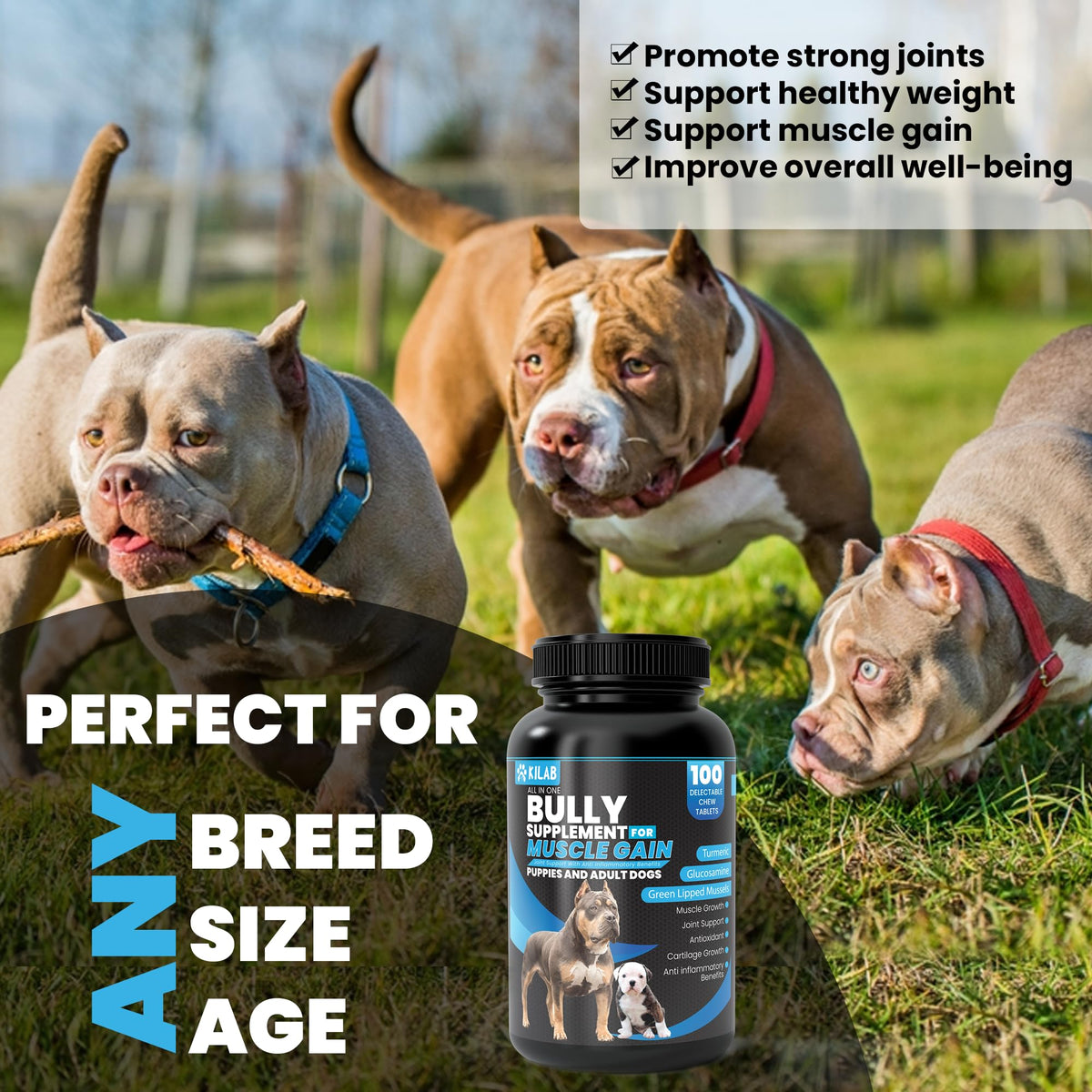 Dog Weight Gainer Supplement with Turmeric, Glucosamine, Green Lipped Mussels T62127